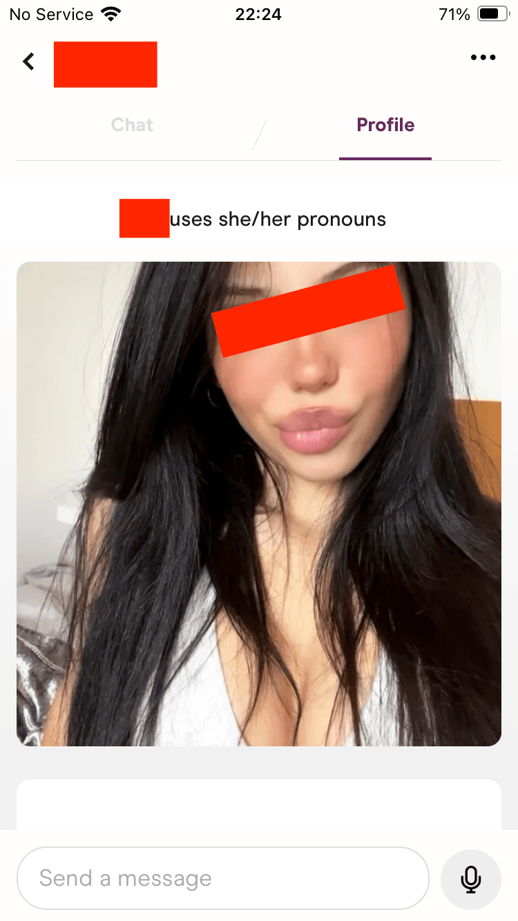 Dating app matches screenshot